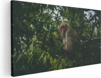 Artaza Canvas Schilderij Aap In De Boom - 120x60 cm - Canvas Print