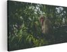 Artaza Canvas Schilderij Aap In De Boom - 120x60 cm - Canvas Print