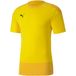 Puma teamGOAL 23 Trainingsshirt