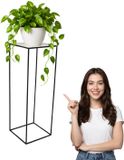 Anwicar Plantenstandaard Zwart Hoogte 100 cm - Metaal Plantenrek