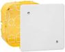 Legrand 091995 Aftakdoos voor gips met plaat en schroeven, 160 mm x 105 mm, 40 mm diepte, meerkleurig