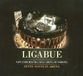 Bertus Distributie Ligabue Sette Notti In Arena + Dvd