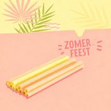 Fackelmann Set van 12 gekleurde plastic rietjes 20 cm Koraal/Geel