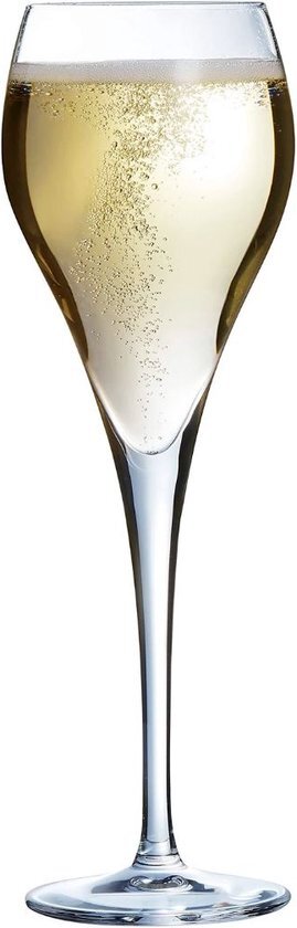 ARCOROC Brio Champagneglas 16cl Set Van 6