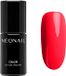 NEONAIL NÉONAIL UV-Nagellak Lady Ferrari 7,2 ml