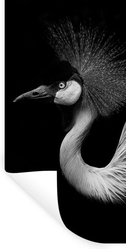 StickerSnake Muursticker - Kraanvogel - Zwart Wit - 80x160 cm