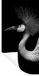 StickerSnake Muursticker - Kraanvogel - Zwart Wit - 80x160 cm