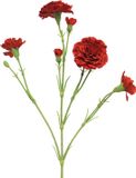 Erutan avon Dianthus Charly red 62 cm kunstbloem