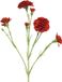 Erutan avon Dianthus Charly red 62 cm kunstbloem