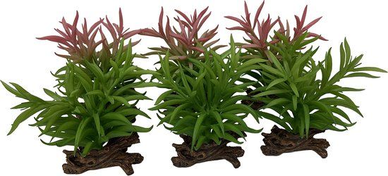 Terra Della Crassula Kunststof Gemengde Kleuren 13x10.5x16 cm