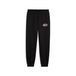 PUMA Essentials Nature 2.0 Graphic sweatpant voor jongeren 128, Black