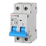 IXTRIMA Automatische stroomonderbreker, 2P 10A 220V 6kA, Bipolar MCB 2P C10