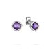 Tamaris oorbellen voor dames - roestvrij staal met kleurrijke zirkoniastenen, zomerse look, waterdicht, zilver