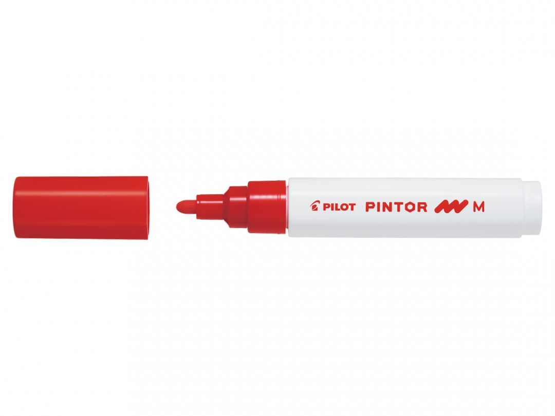 Pilot Pintor