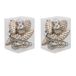 Merkloos / Sans marque 24x Dennenappel kersthangers/kerstballen licht champagne (autumn blonde) van glas - 6 cm - mat/glans - Kerstboomversiering