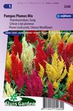Merkloos / Sans marque Sluis Garden Pluimhanenkam Pampas Plume Mix (Celosia)