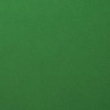 Florence Karton - Cardstock - Gladde Afwerking - A4 - Groen - 216 grams - 10 vellen