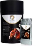 Excellent Horse Zand-Weg - 6 x 200 gr