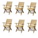 AVH-Collectie Arona Arona dining tuinstoel inklapbaar met armleuning teak set van 6
