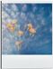 Merkloos / Sans marque Dibond Polaroid Foto Bloemen - 30x40 cm