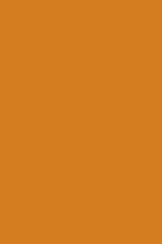 Folia Fotokarton terracotta 50X70-300G