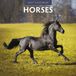 Red Robin Paarden Kalender 2027