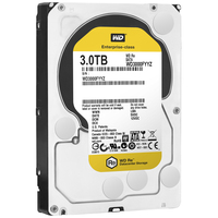 Western Digital Re 3.5 inch - 3 TB - Zwart