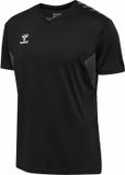 Hummel sportshirt Hmlauthentic Pl Jersey S/S 219964