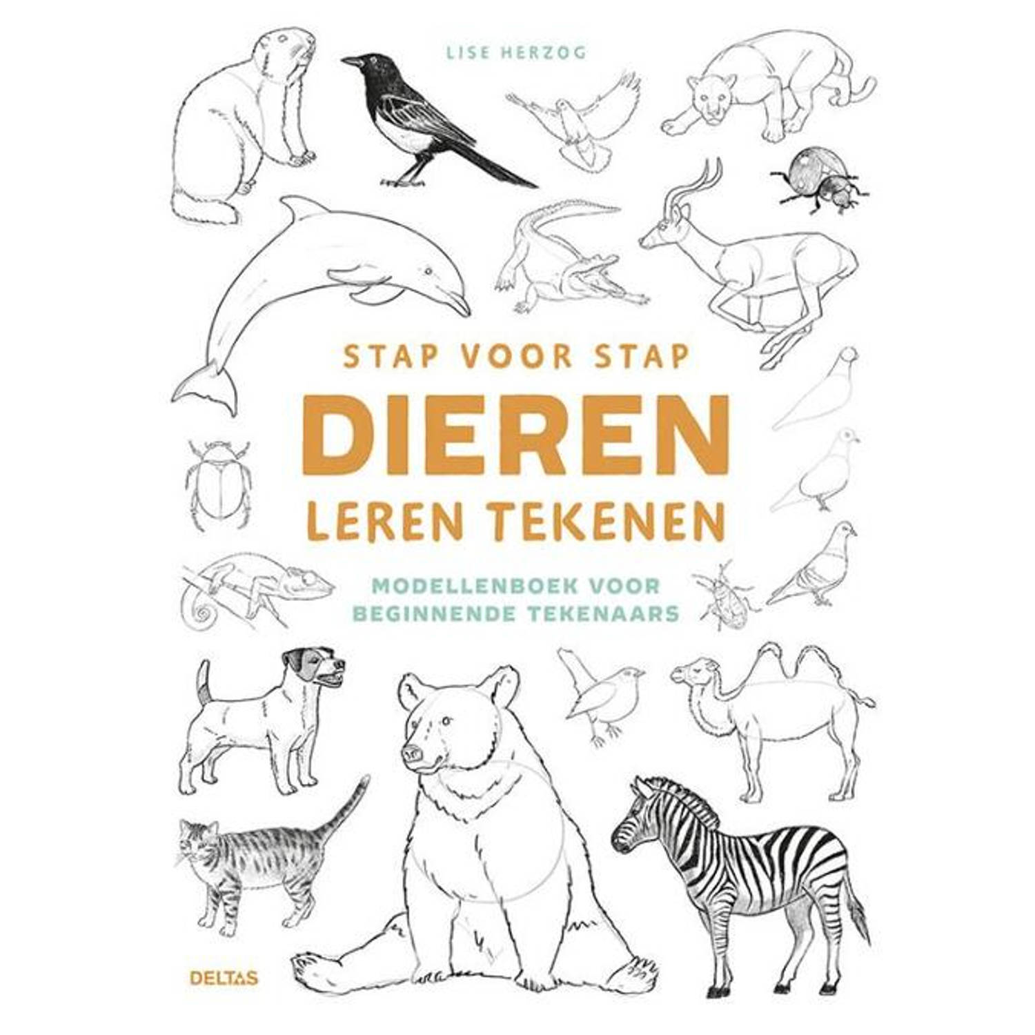 BookSpot stap voor stap dieren leren tekenen