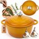 Hage Emalieren Fonte Pan 24cm 4L Moutardgeel