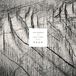 V2 Red Eye Tom Hobden & Eliot James Present: Roam