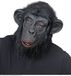 Widmann Aap Met Pluche Haren Masker