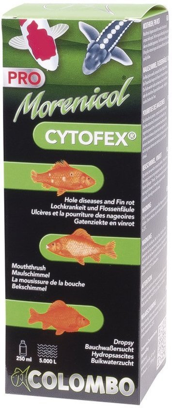 Colombo Morenicol Cytofex 1000 Ml Uw water is onze zorg