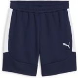 Puma Korte teamevostripe