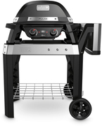 Weber Pulse 2000