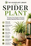 Spider Independently Published Spider Plant: The Complete Guide to Growing, Caring for and Propagating Healthy Spider Plants Indoors