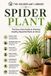 Spider Independently Published Spider Plant: The Complete Guide to Growing, Caring for and Propagating Healthy Spider Plants Indoors