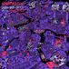 ADVENTURE Laura Jane Grace - Adventure Club (CD)