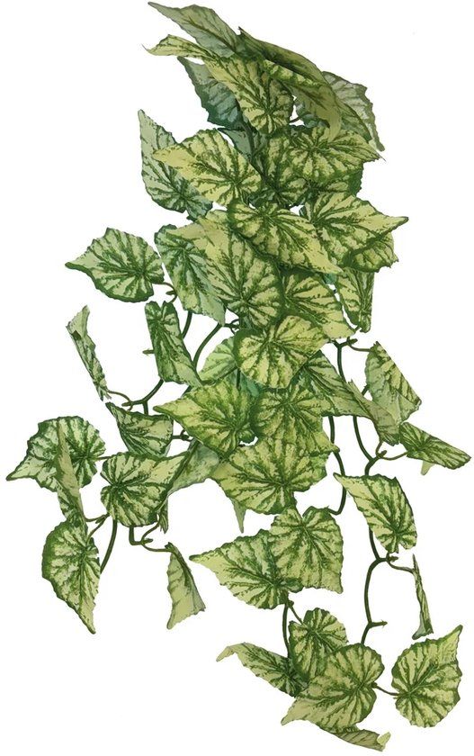 Repto Plant Hanging Hedera - Kunstplant Terrarium