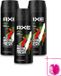 Axe Africa Deodorant Bodyspray - Mandarin & Sandalwood - 150 ml - 3 Stuks