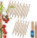 MK TRADING Michał Kotarba KOTARBAU Serie - Houten Plantensteun Set - 25 cm - 25 Stuks