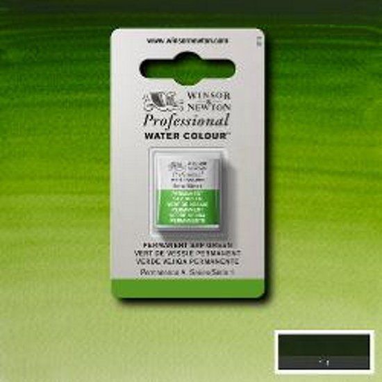 Winsor & Newton Professionele Aquarelverf Halve nap Permanent Sap Green