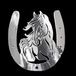 Nikkel Sticker 'Horseshoe + Horse' - 48x50mm