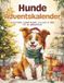 Hunde Bol Hunde Adventskalender