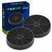 Alapure filtre à charbon, adapté pour Hansa FWP-18 / 1161077 (2 pièces)