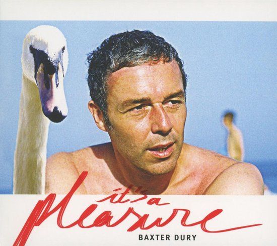 Baxter Dury - It's A Pleasure