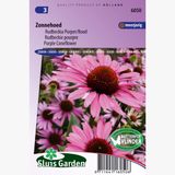 Sluis Garden Zonnehoed purpurea (Echinacea)