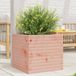 Prolenta Maison Exclusive - Jardinière 50x50x45,5 cm, en bois massif de Douglas