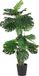 Mica Decorations Monstera Kunstplant - H165 x Ø85 cm