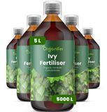 Organifer Engrais liquide pour lierre 5x1 L